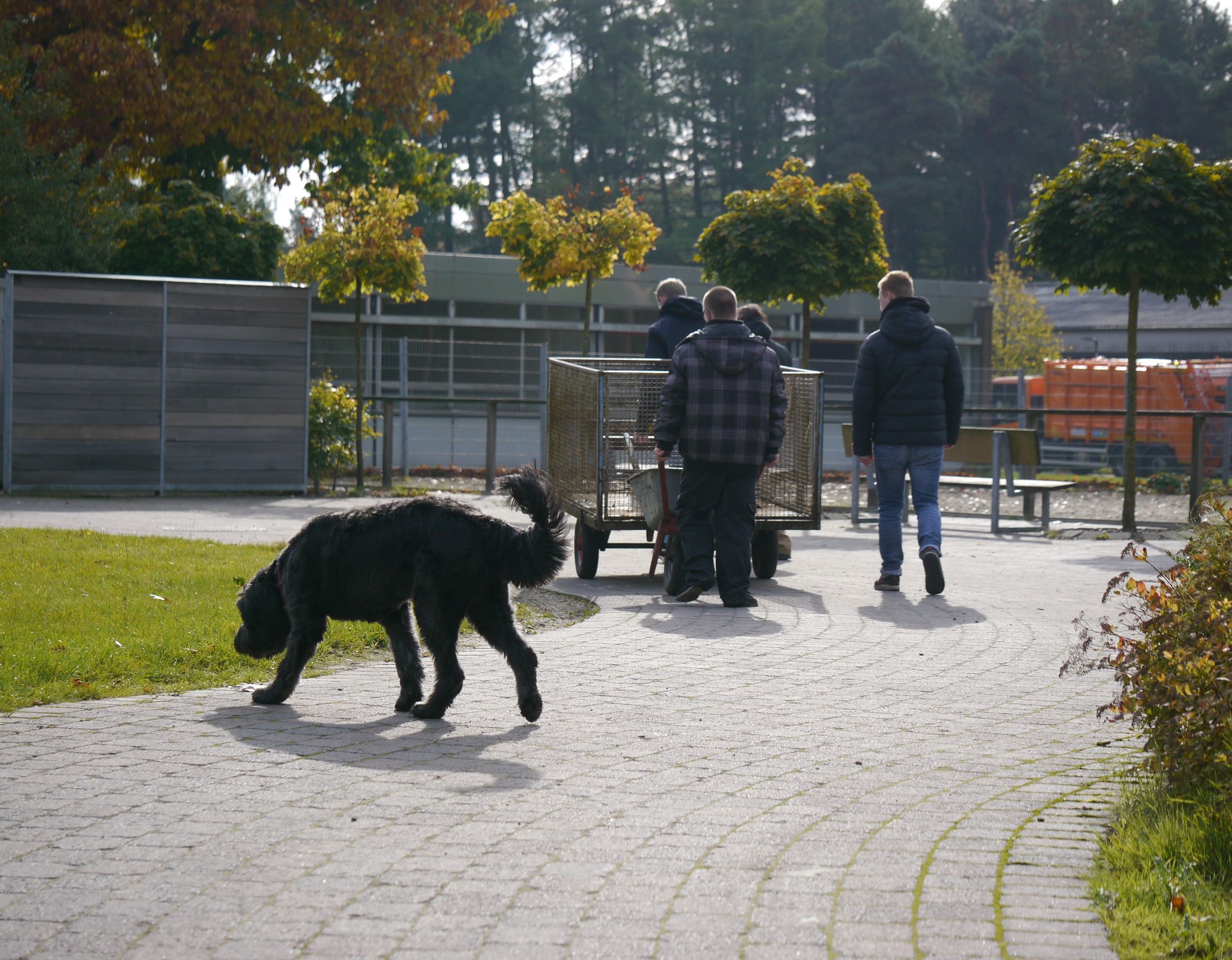 3 Personen und ein schwarzer Hund sind bei Arbeiten im Tiergehege zu sehen