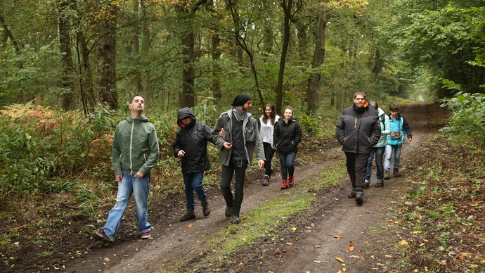 Mehrere Personen spazieren durch den Wald