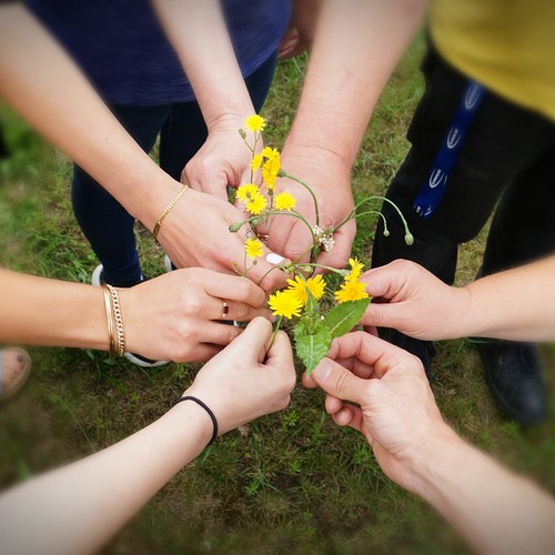 Mehrere Hände halten eine Blume