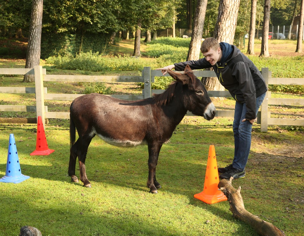 Ein Junge mit dunkelgrauer Jacke zeigt in eine Richtung (nach vorne), ein Esel steht vor ihm.